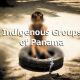 Indigenous Groups of Panama