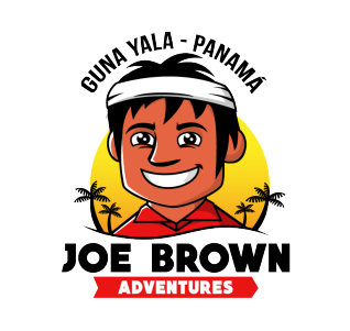 Resultado de imagen de joe brown adventures