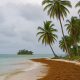 Sargassum in San Blas: How the Rainy Season Increases Its Impact